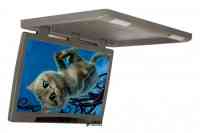 Потолочный монитор 20" ERGO ER20H (1680x1050) серый